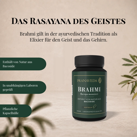 Brahmi Pranaveda Ayurvedisch Gehirn und Konzentration
