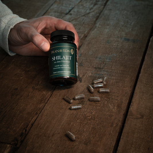 Shilajit Kapseln im Alltag