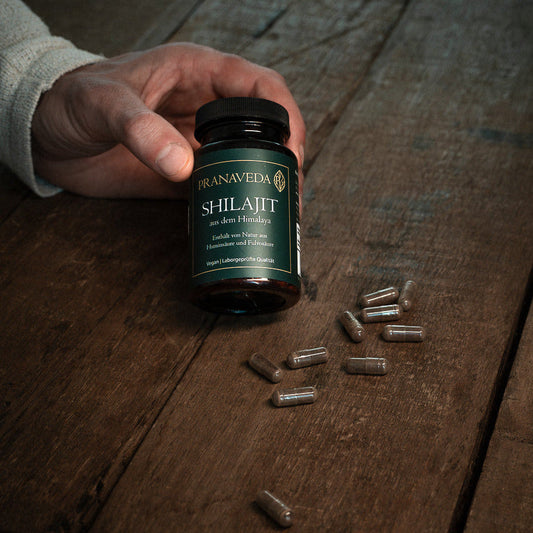 Shilajit Kapseln im Alltag