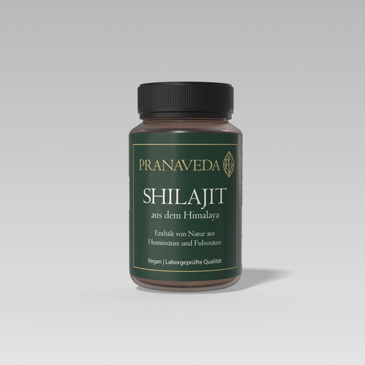Shilajit Kapseln 500mg