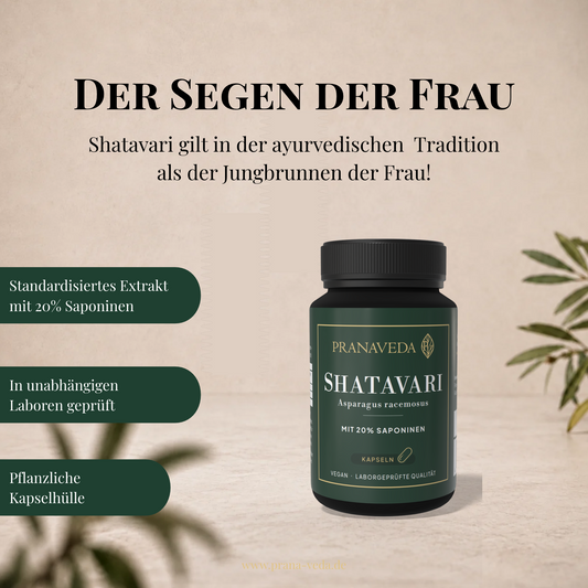Shatavari - Ayurvedisches Frauen Elixier
