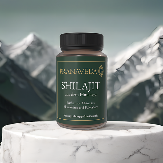 Bundle: 3x Shilajit Kapseln 500mg
