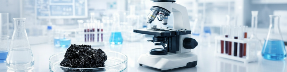 Laboranalyse von Shilajit