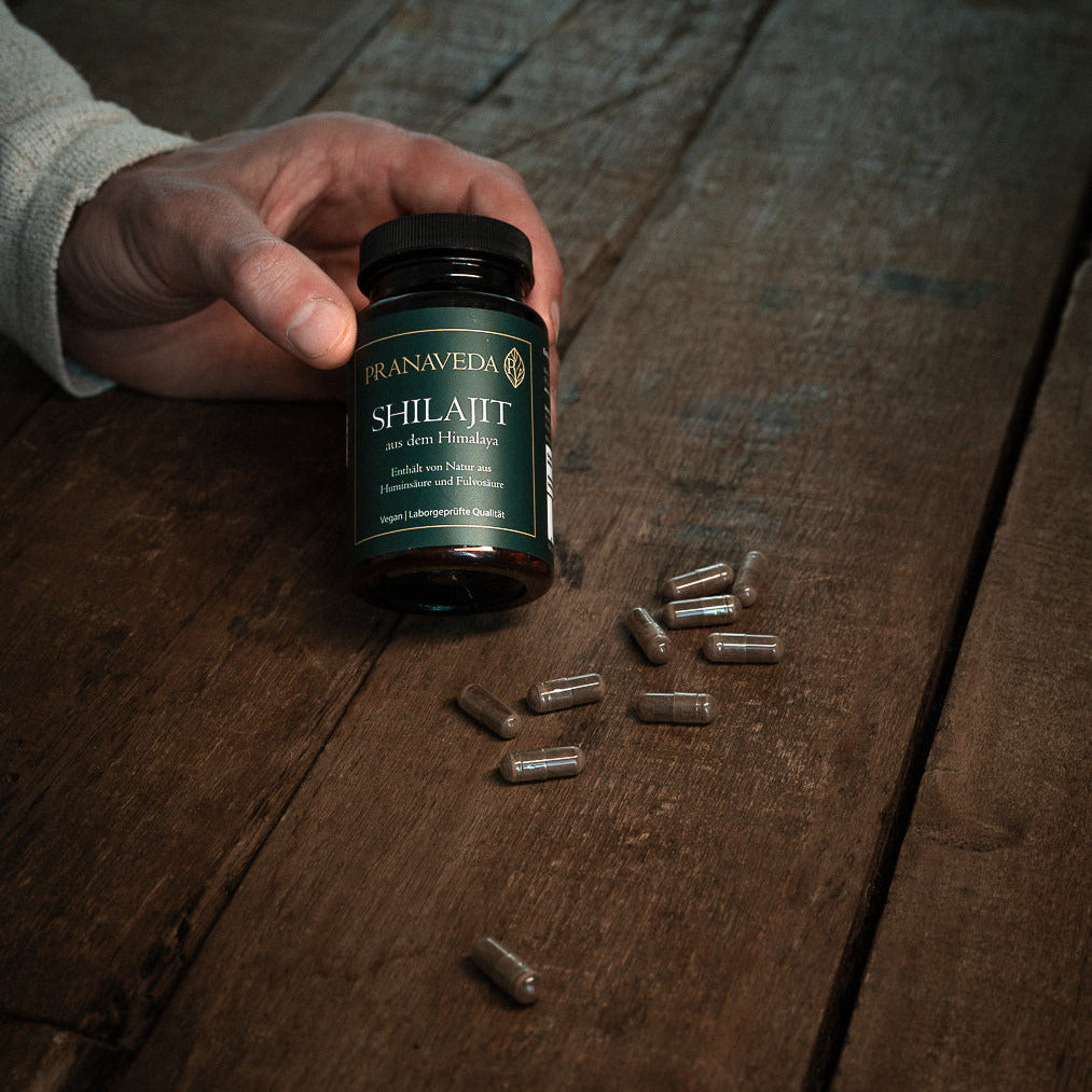 Shilajit Kapseln im Alltag