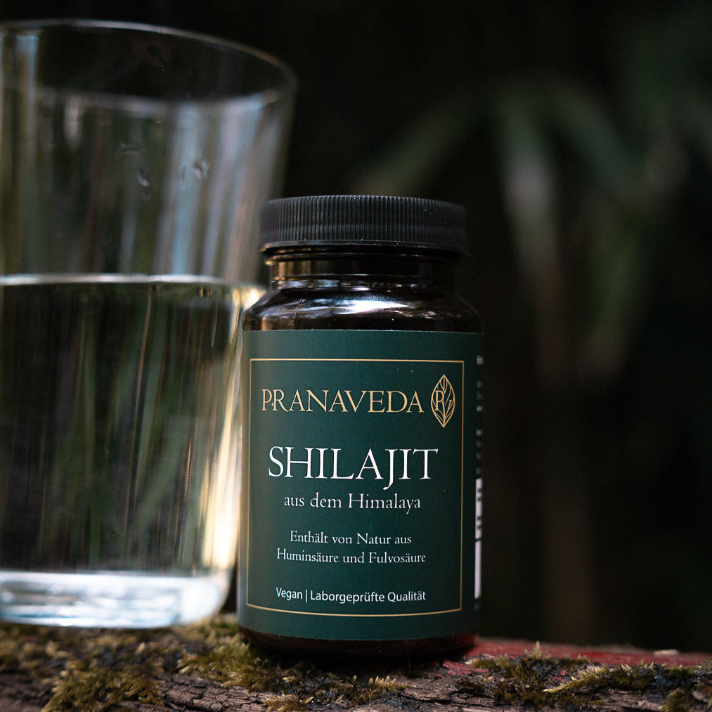 Shilajit Kapseln mit Wasser