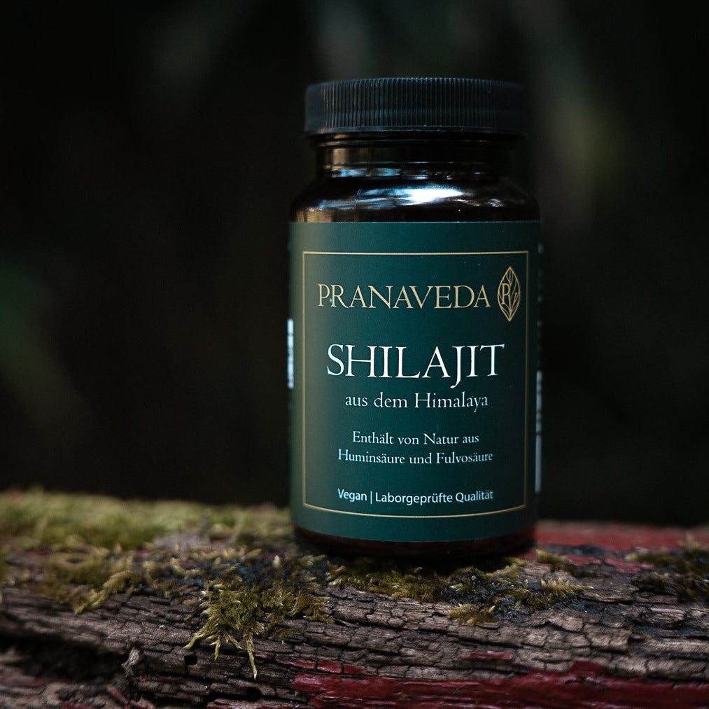 Shilajit Kapseln von Pranaveda 500 mg