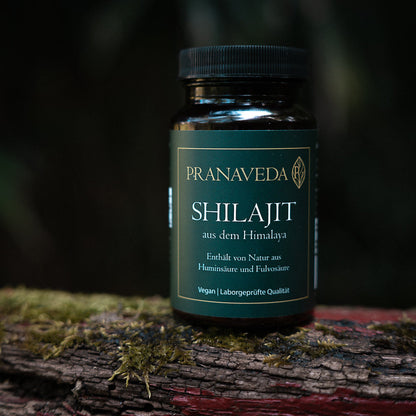 Shilajit Kapseln von Pranaveda 500 mg