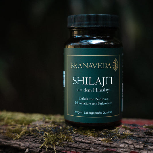 Shilajit Kapseln 500 mg