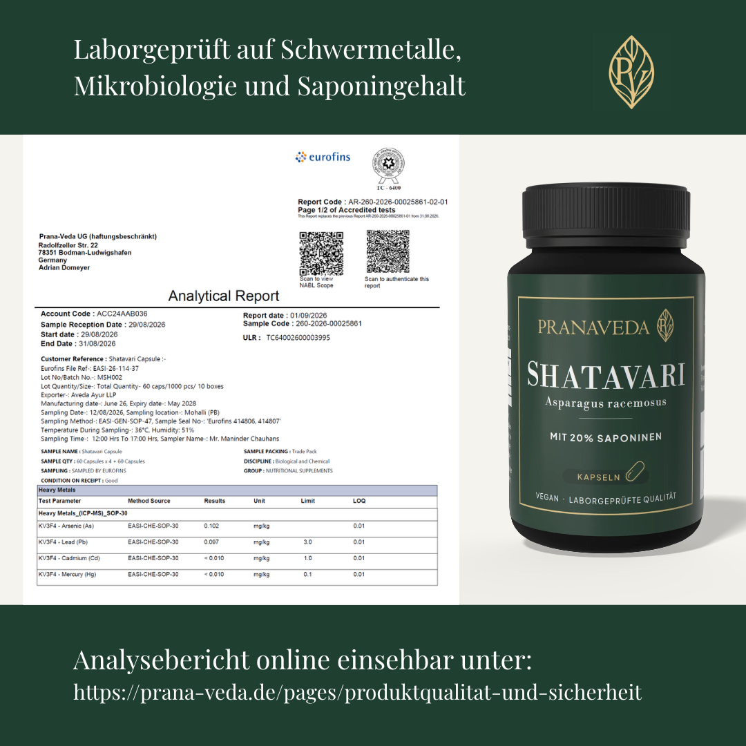 Shatavari Kapseln 500 mg