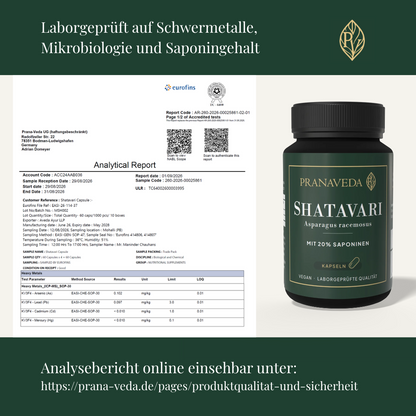 Shatavari Kapseln 500 mg