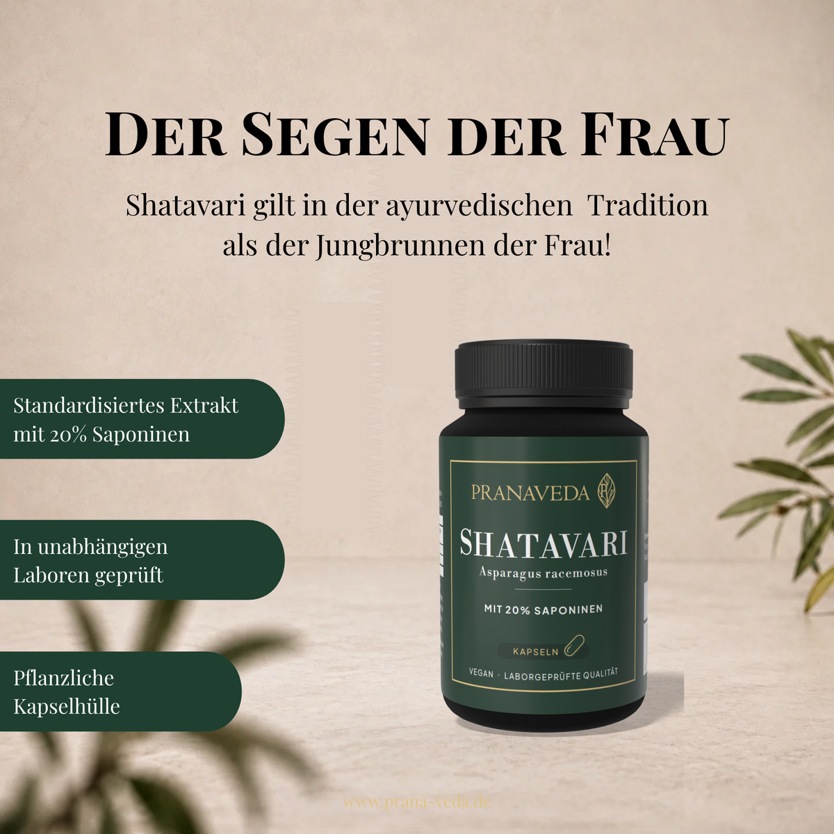 Shatavari - Ayurvedisches Frauen Elixier