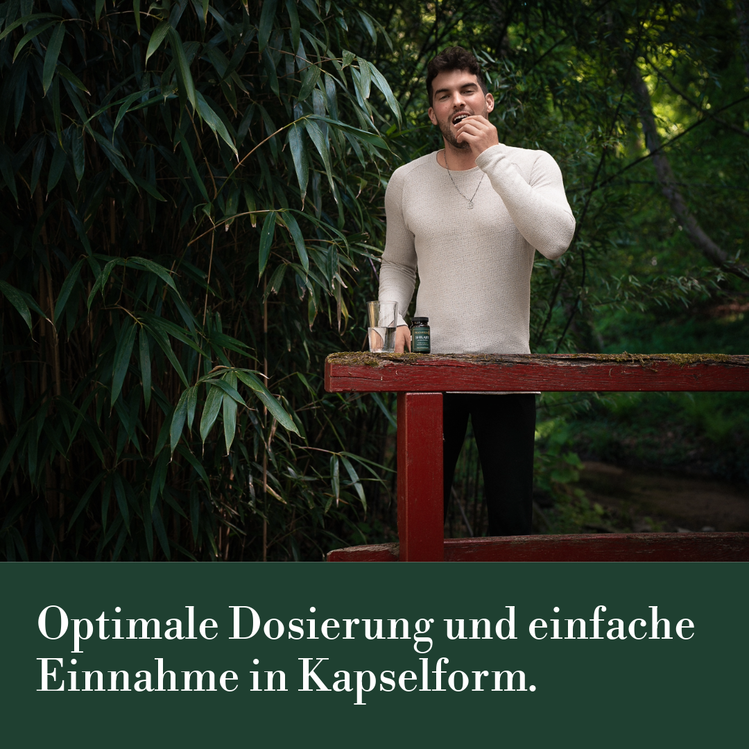 Shilajit Einnahme in Kapselform